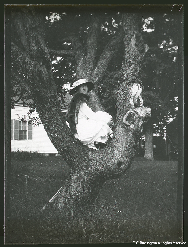 Girl in White up Tree
