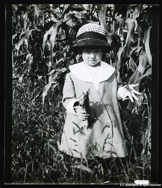 Girl in Corn