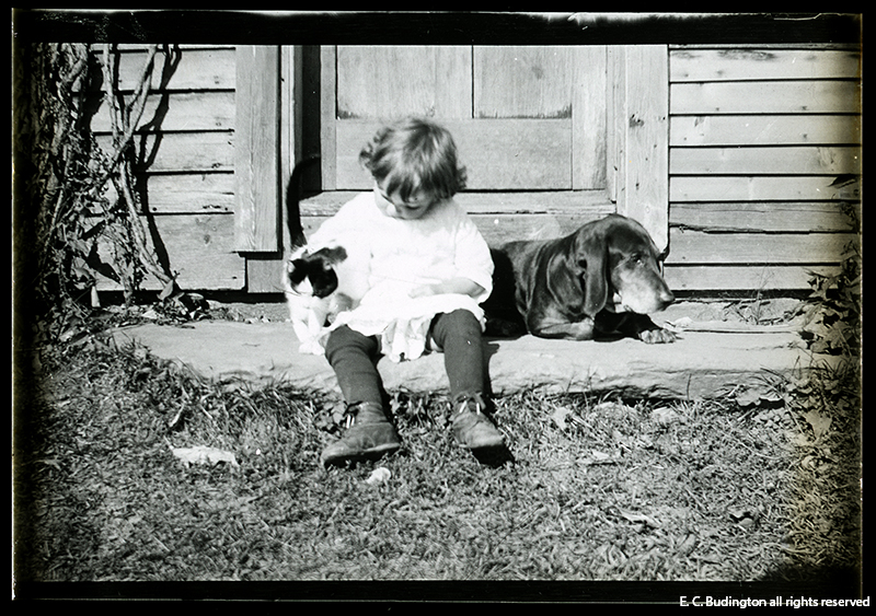 Kid with Dog and Cat