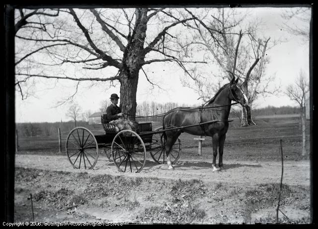 Wagon with Driver