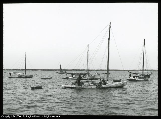 Oyster Boats 1913